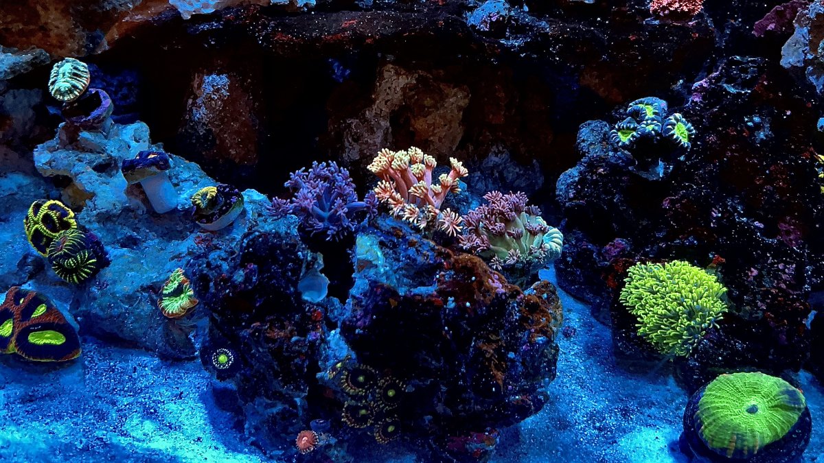 IMG_7862.jpeg