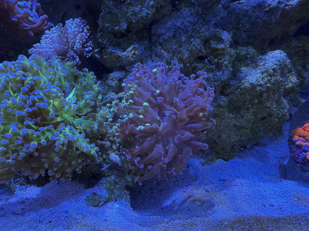 IMG_7862.jpeg