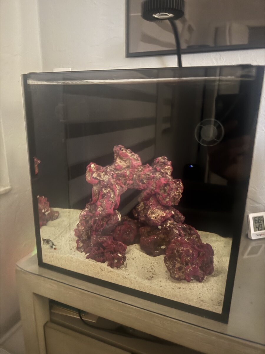 IMG_7863.jpeg