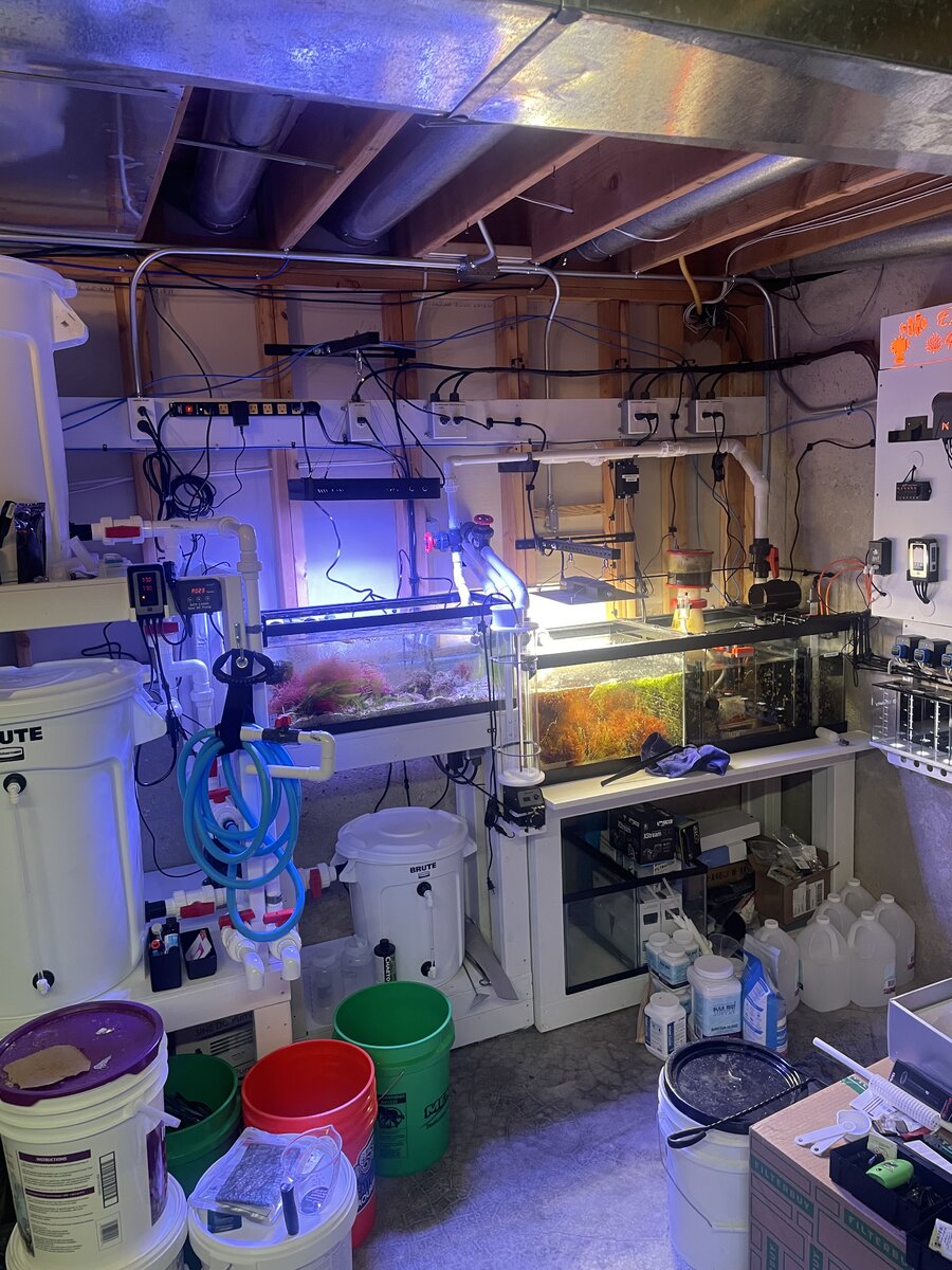 External combined ATS/refugium/frag tank/grow out | Reef2Reef