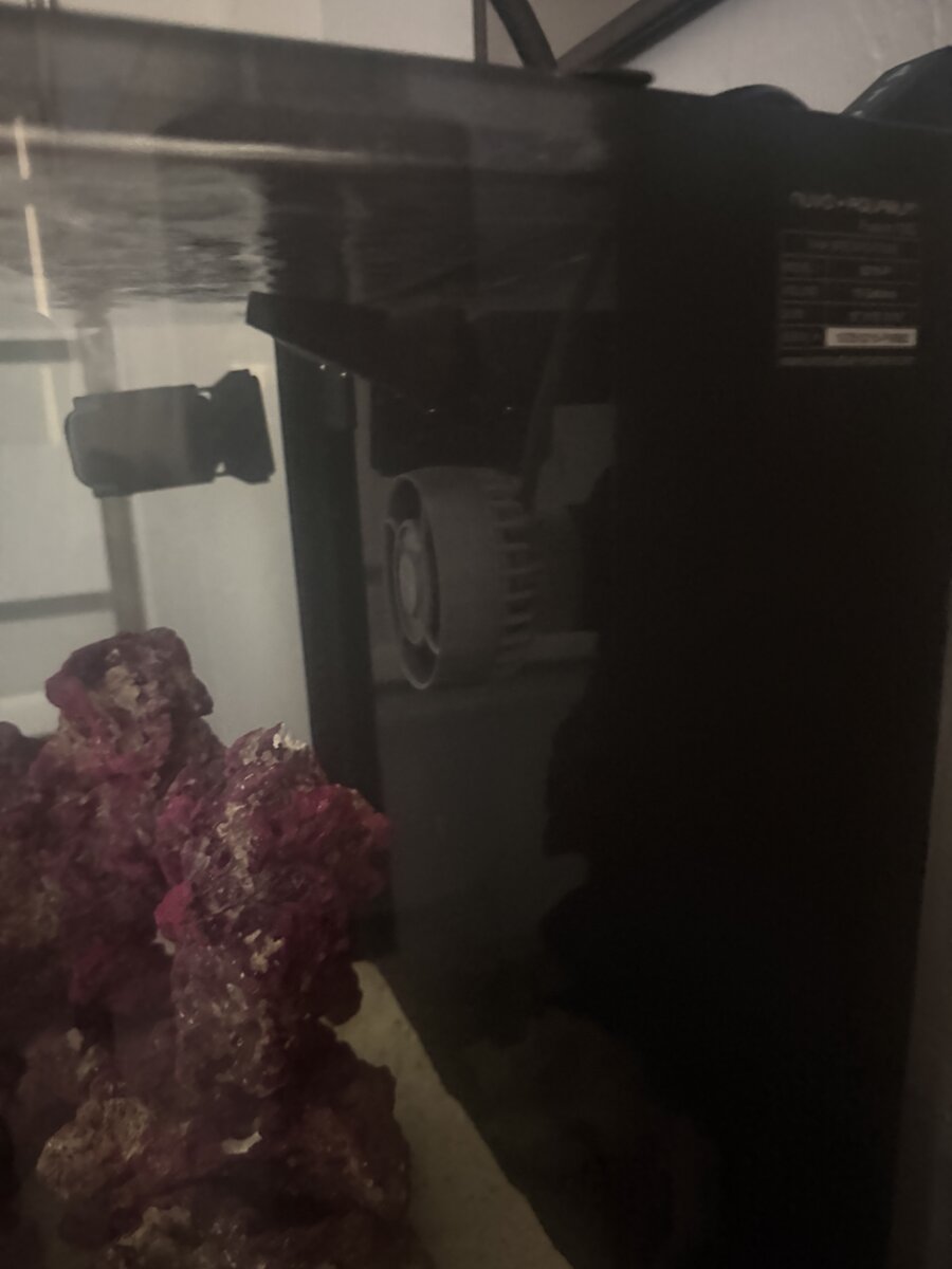IMG_7865.jpeg