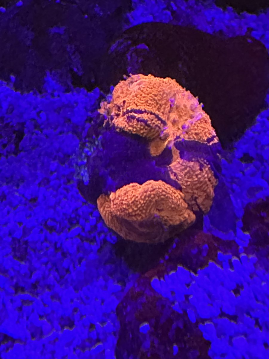 IMG_7867.jpeg