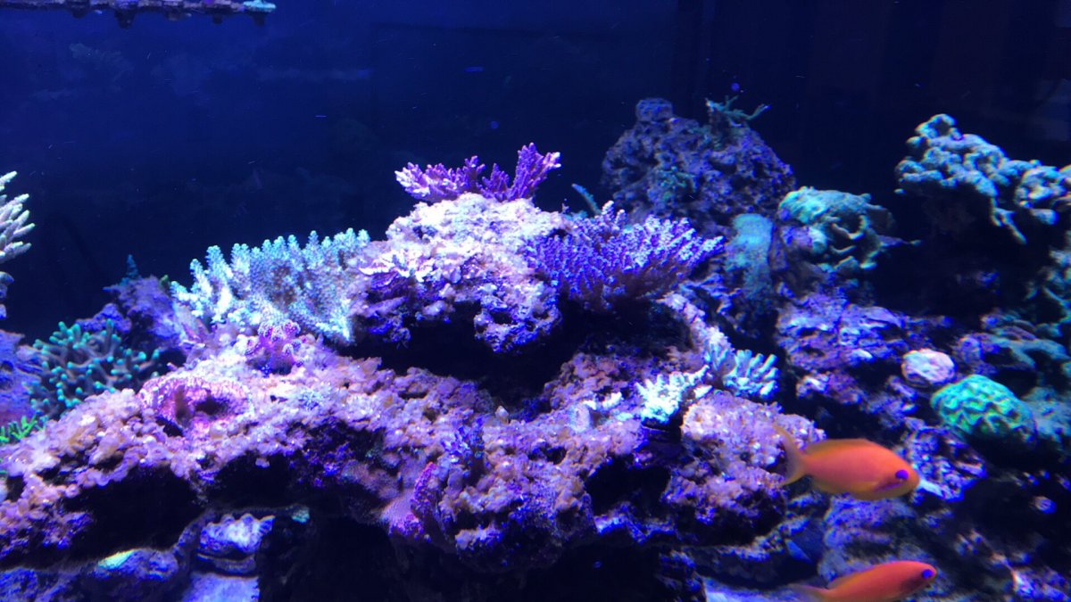 IMG_7906.JPG