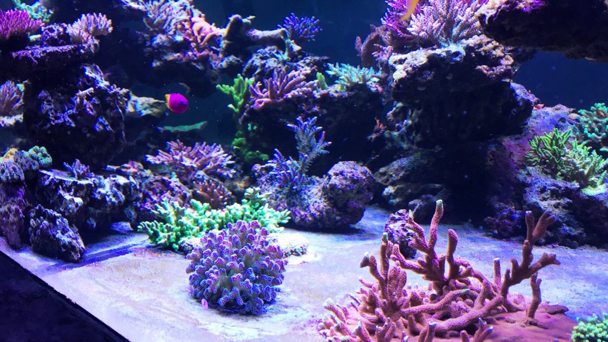 IMG_7908.JPG