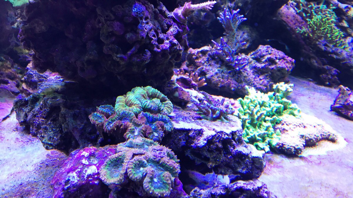 IMG_7909.JPG
