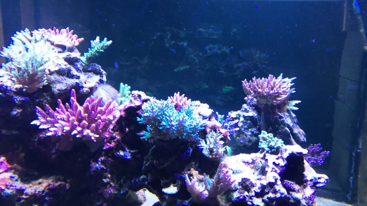 IMG_7911.JPG