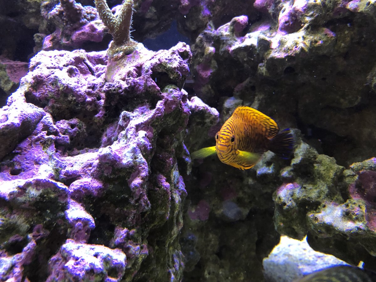 IMG_7913.jpg