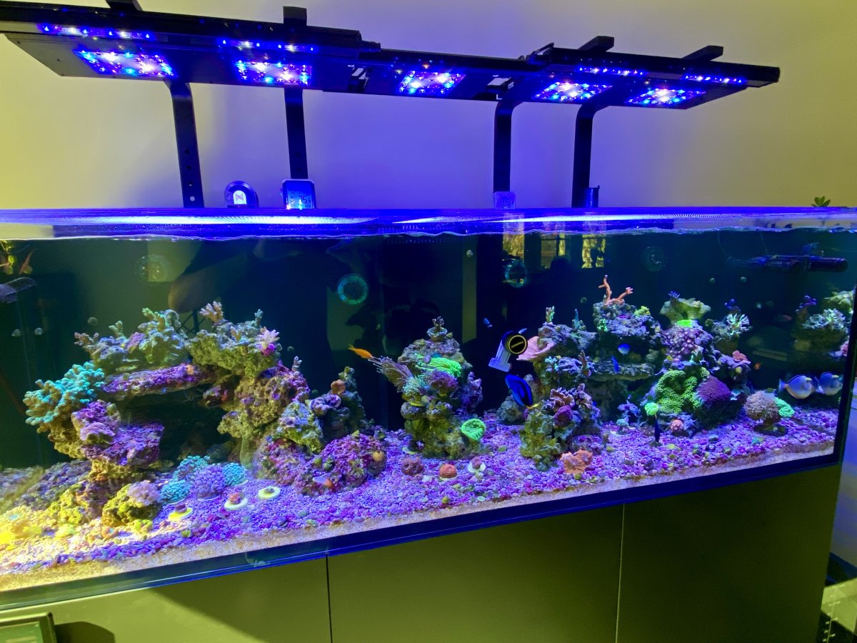 IMG_7920.jpeg