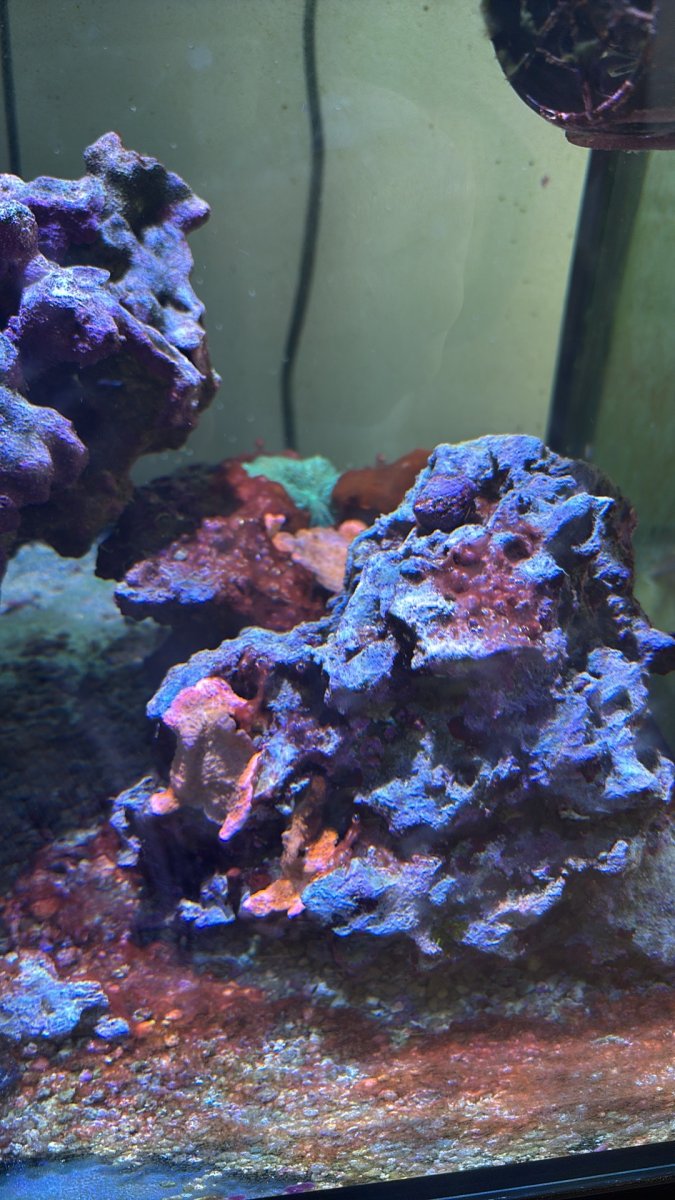 IMG_7962.jpeg