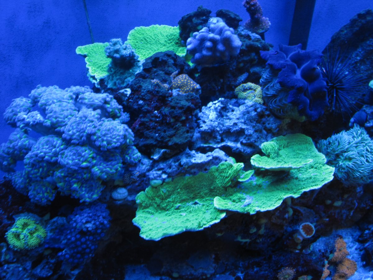 IMG_7966.JPG