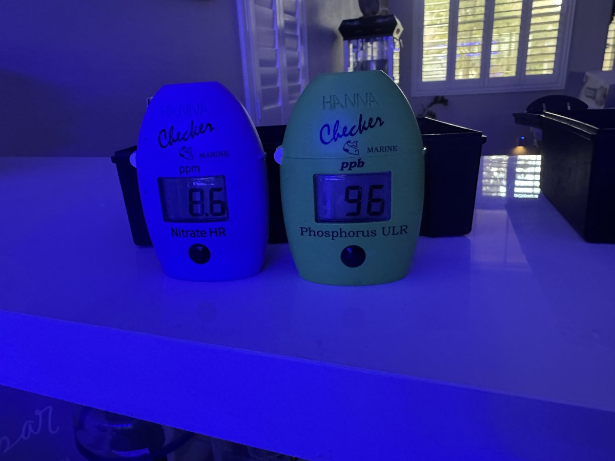 IMG_7982.jpeg