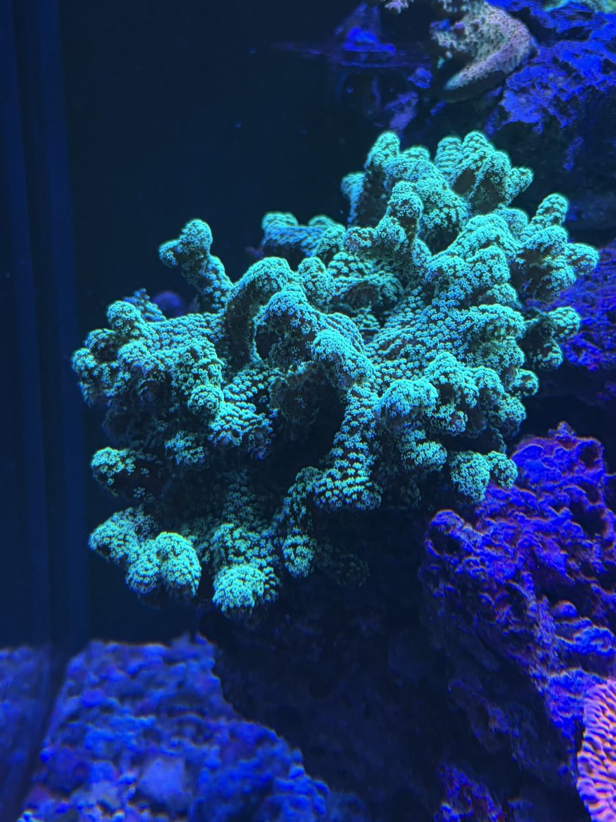 IMG_8022.JPEG