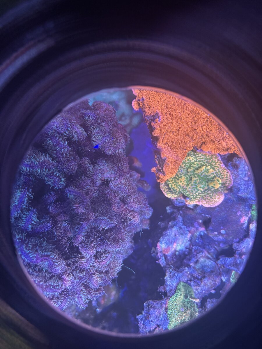 IMG_8024.jpeg