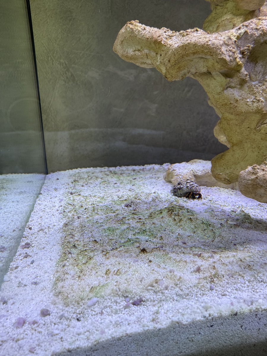 IMG_8060.jpeg