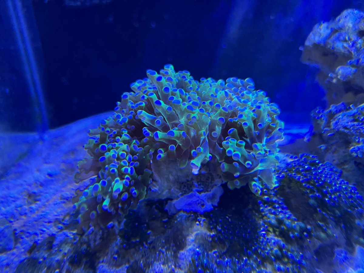 IMG_8085.jpeg