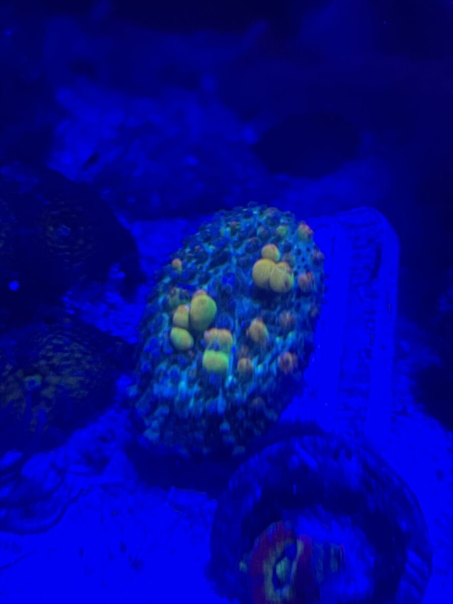 IMG_8099.jpeg