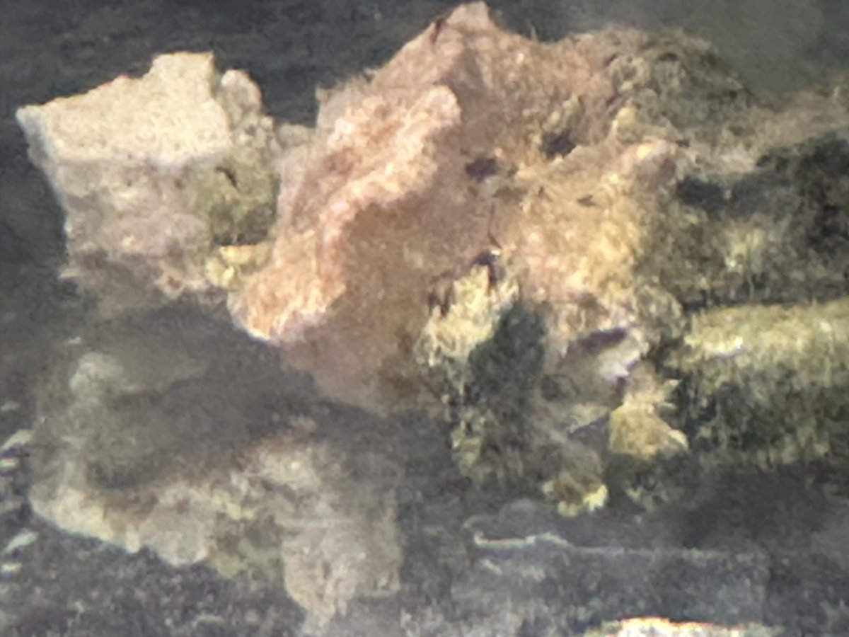 IMG_8105.jpeg