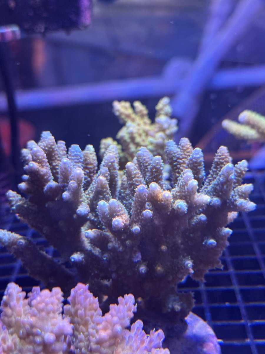 IMG_8107.jpeg