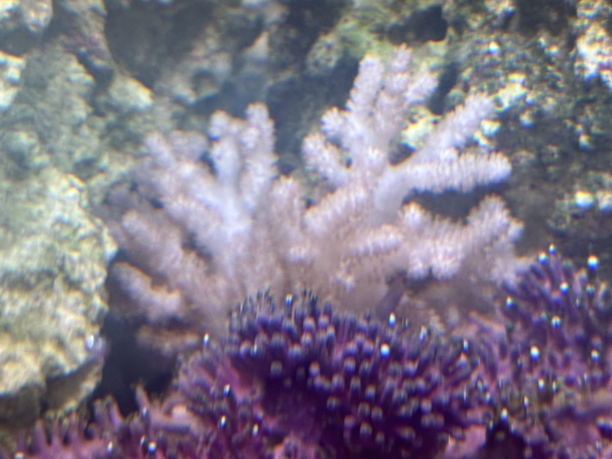 IMG_8108.jpeg