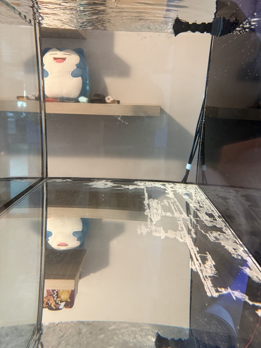 IMG_8115.jpeg