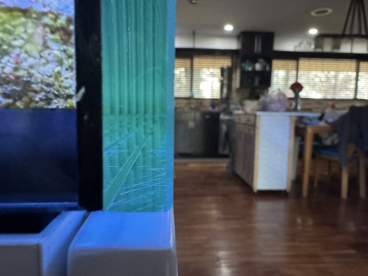 IMG_8127.jpeg