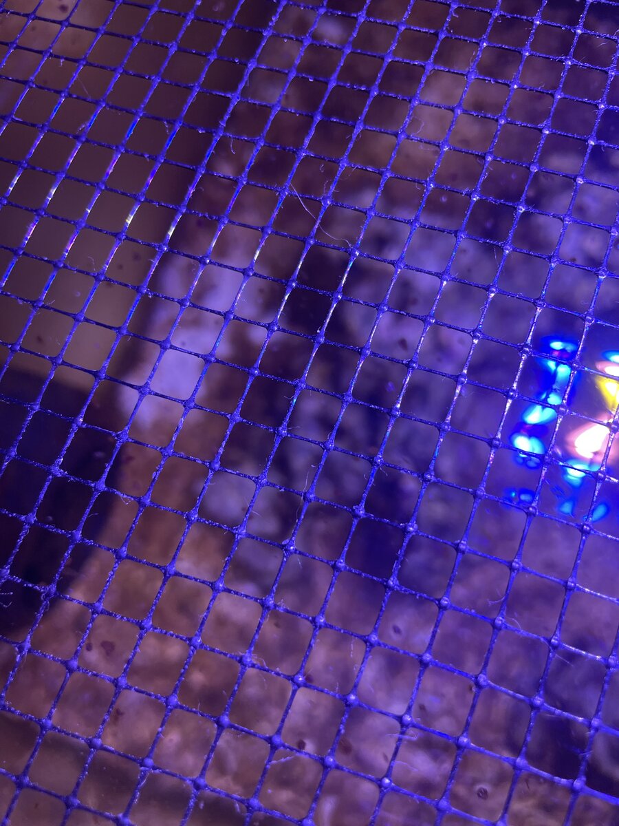 IMG_8127.jpeg