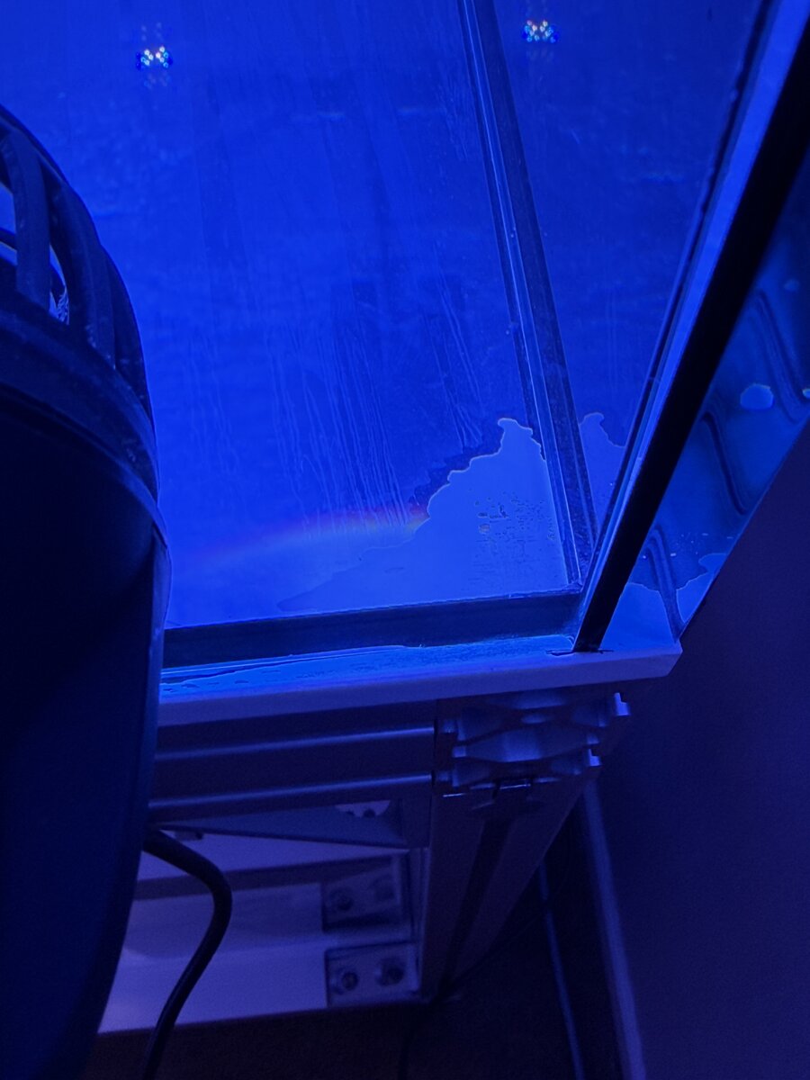 IMG_8129.jpeg