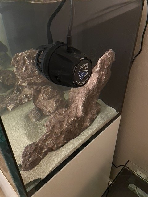 IMG_8139.jpeg