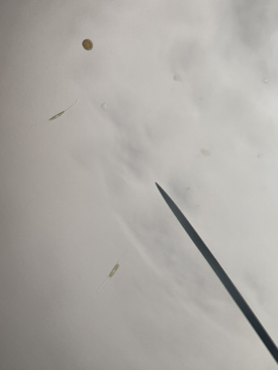 IMG_8143.jpeg