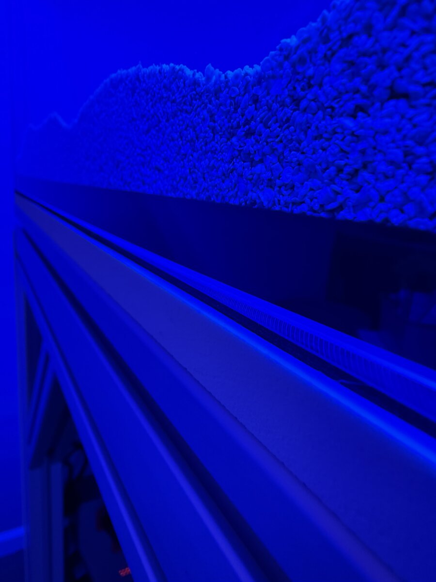 IMG_8145.jpeg
