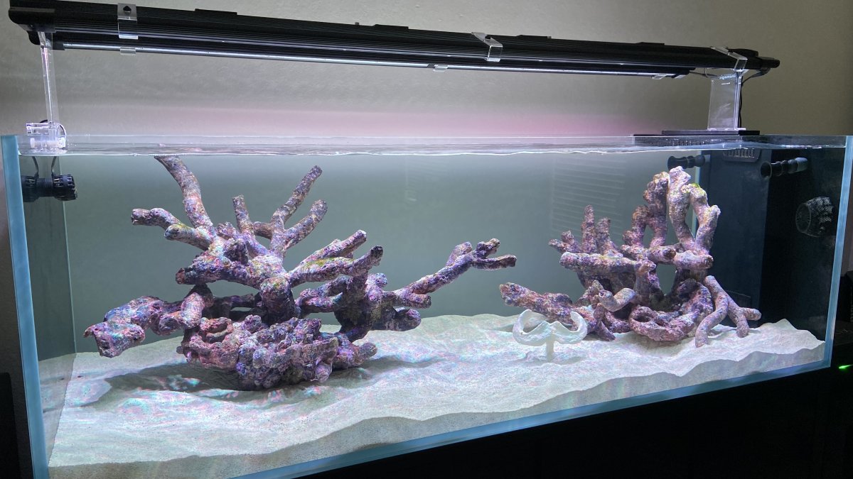 My favorite aquascaping videos - a curated list! Share your favorite ...