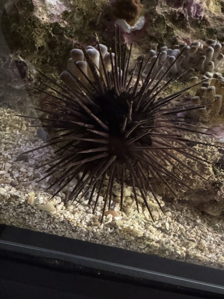 IMG_8159.jpeg