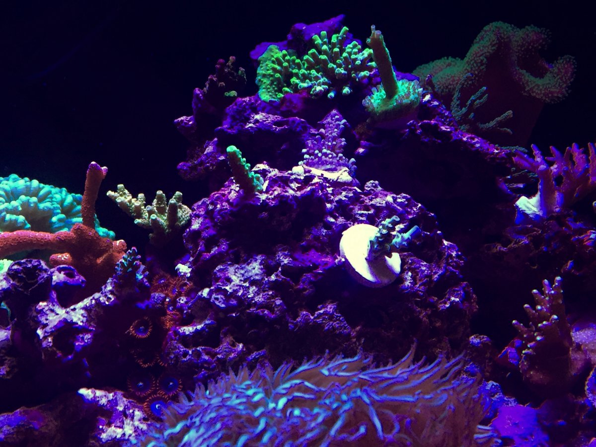 IMG_8160.JPG