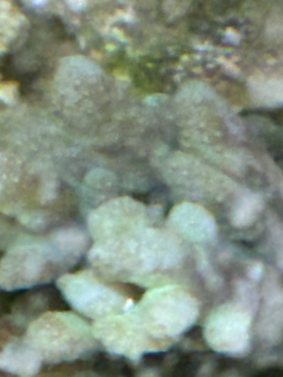 IMG_8166.jpeg