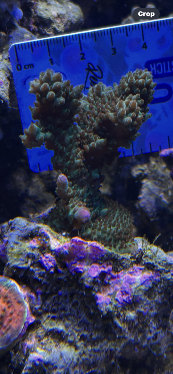 IMG_8206.png