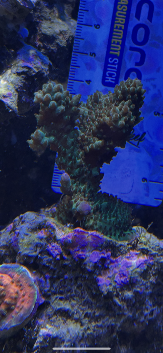 IMG_8207.png