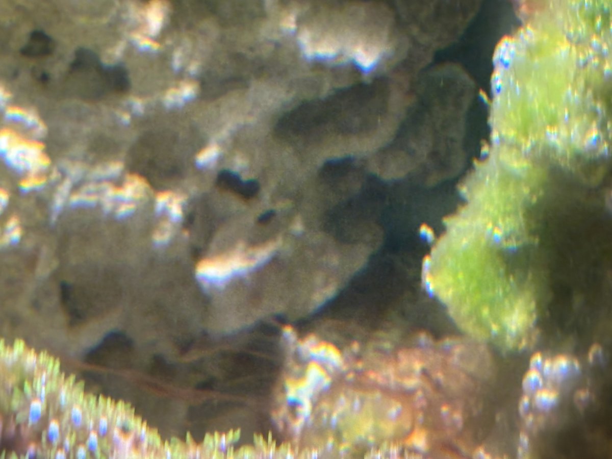 IMG_8209.jpeg