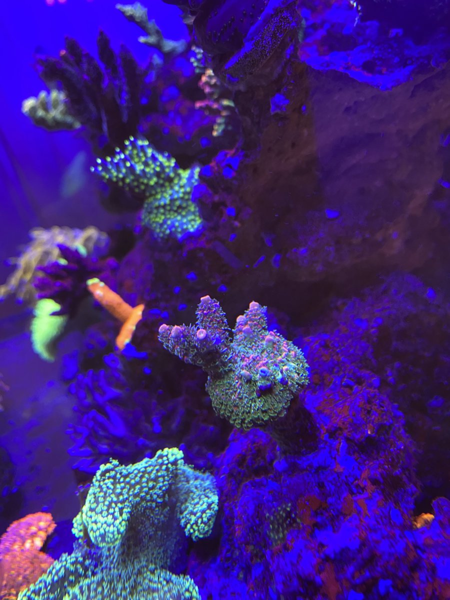 IMG_8221.jpeg