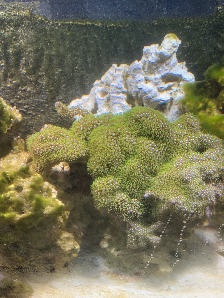 IMG_8222.jpeg