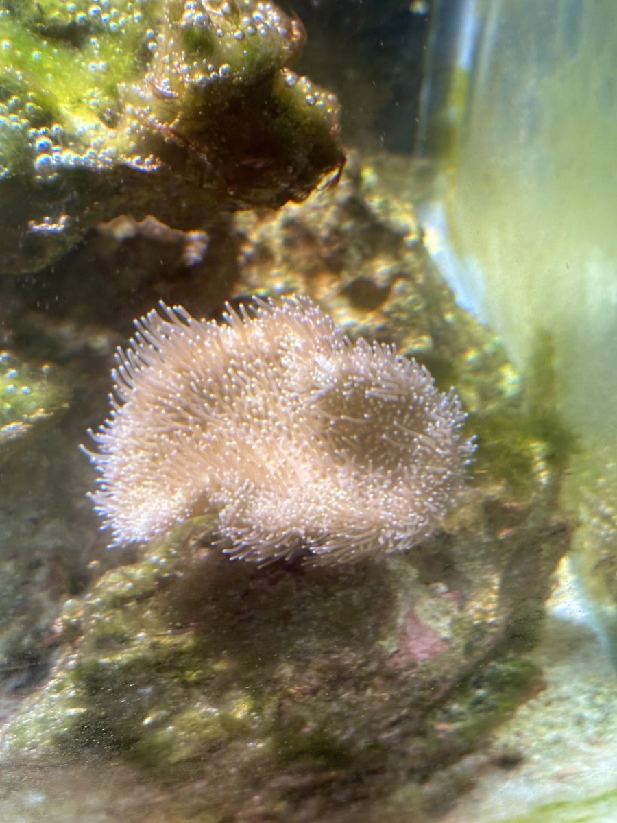 IMG_8226.jpeg