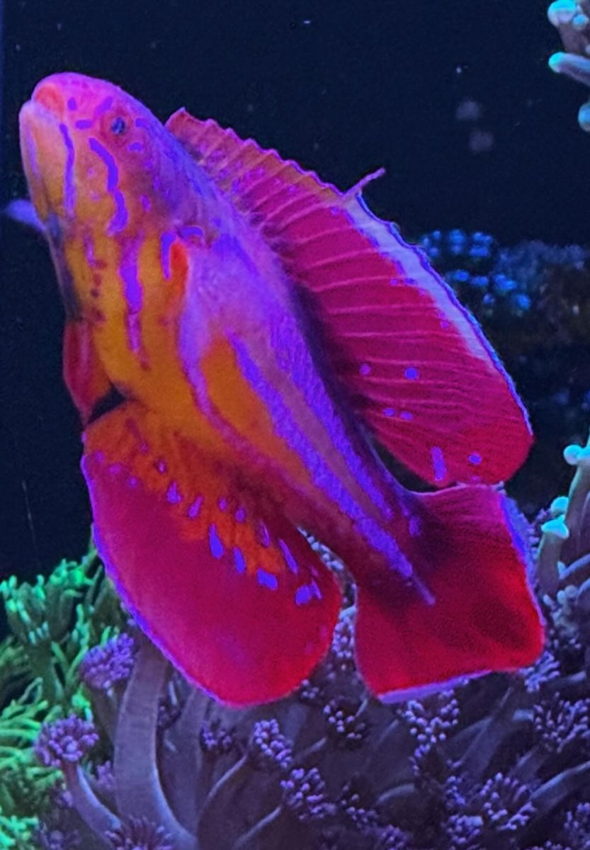 IMG_8236.jpeg