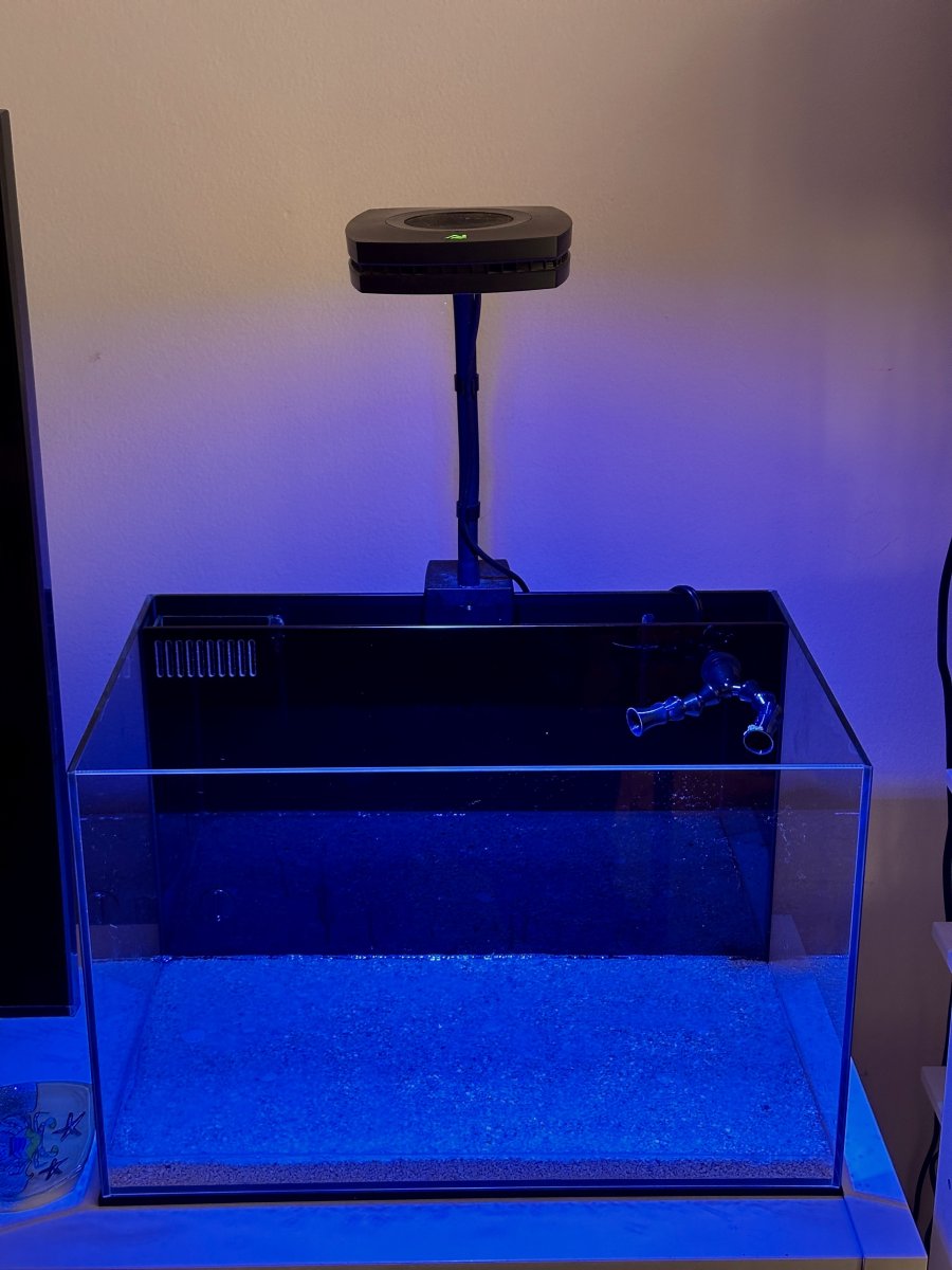 Nano Build - My New York City Nano Reef - Lifegard Crystal 10-Gallon ...