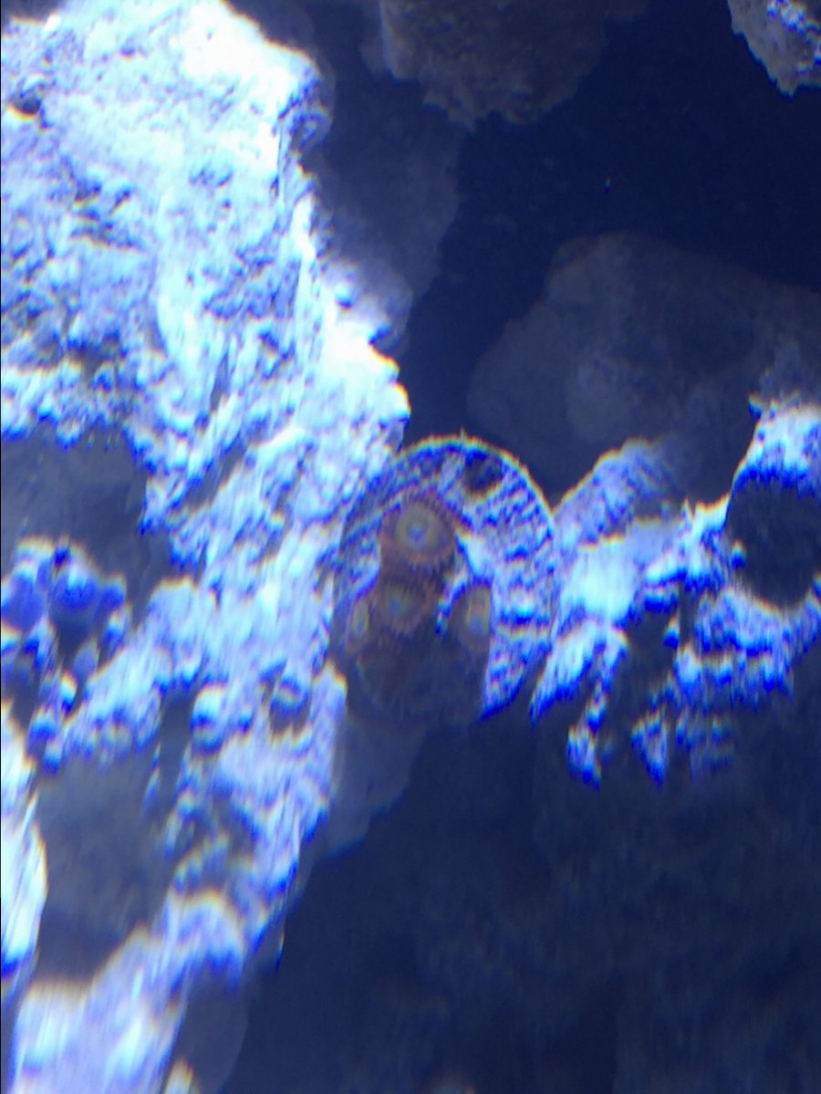 IMG_8242.JPG