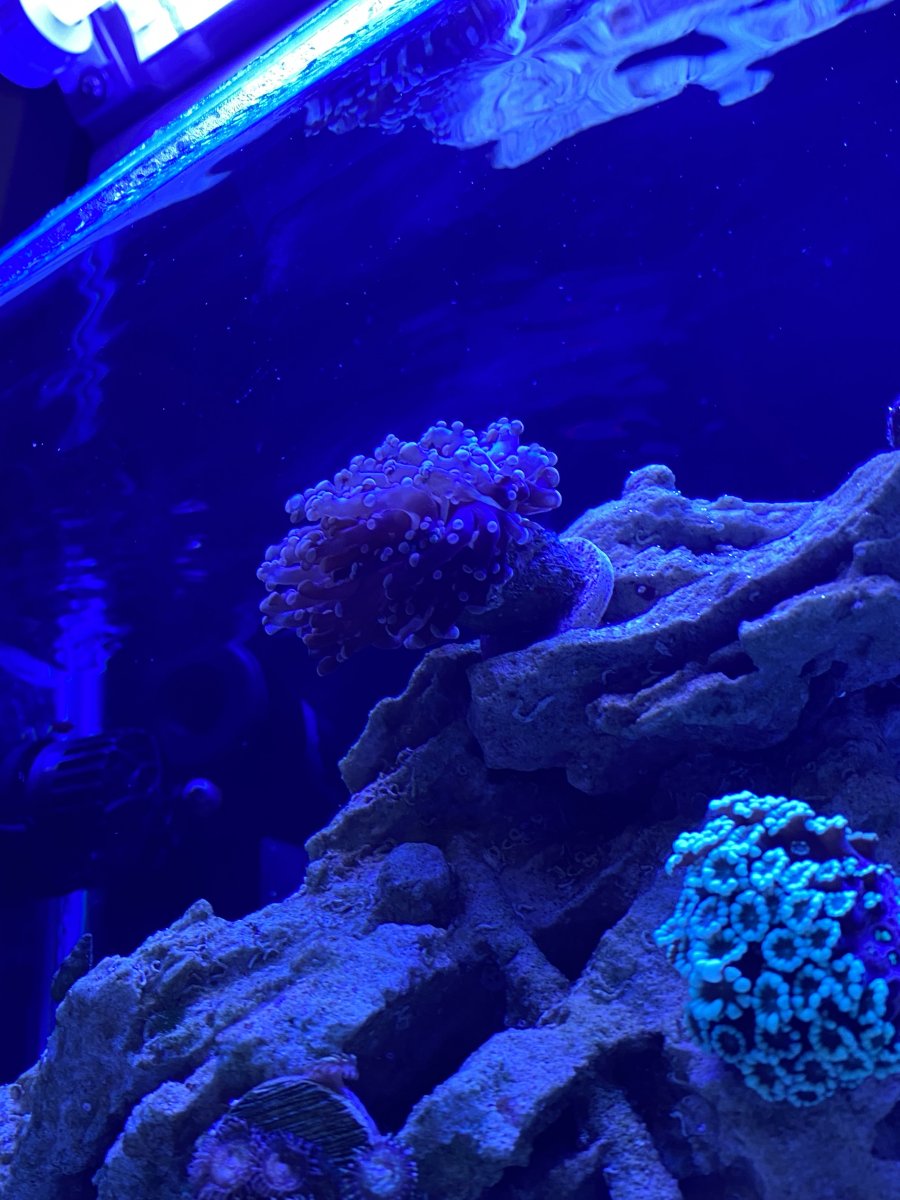 IMG_8280.jpg