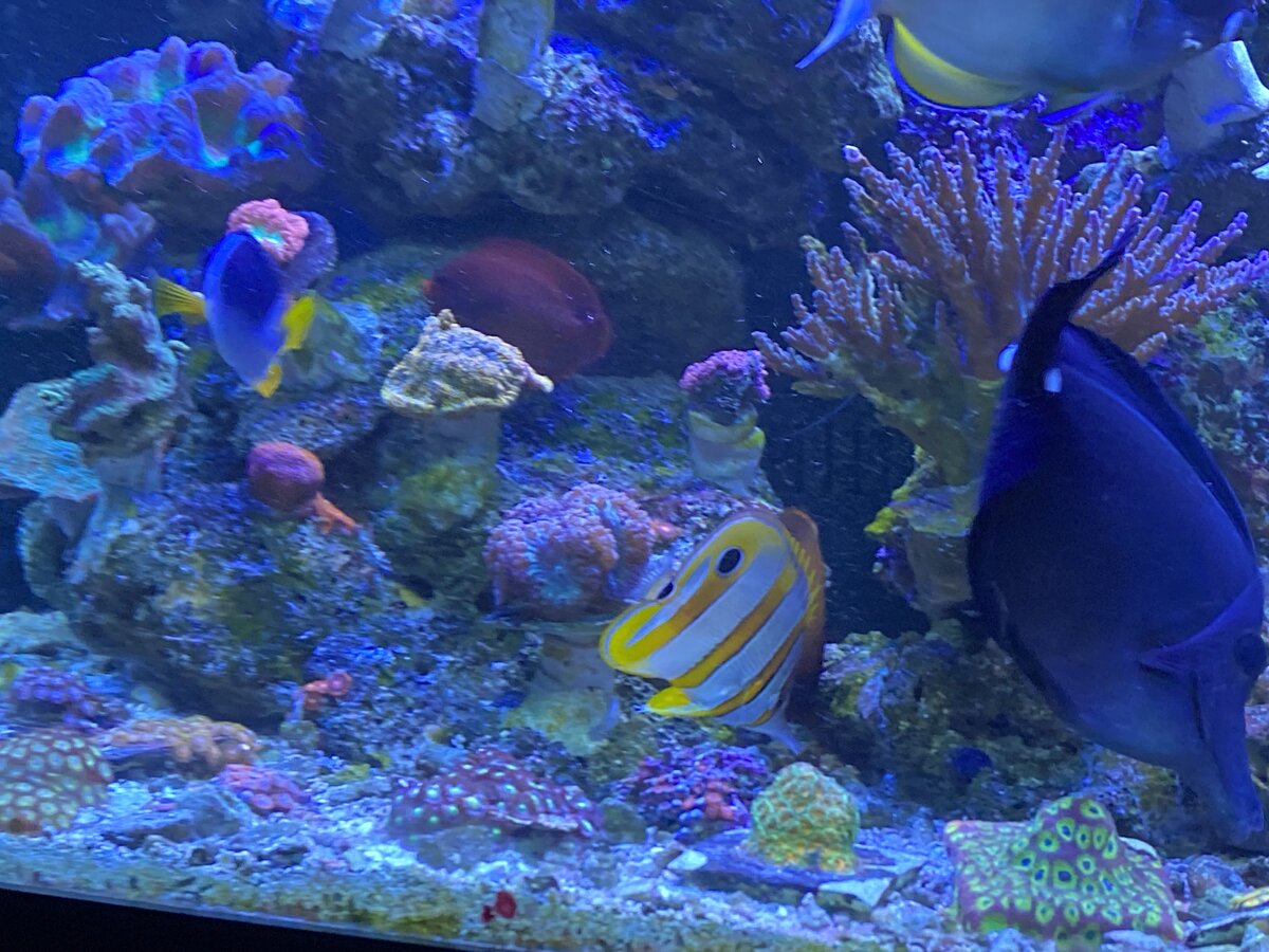 IMG_8312.jpeg