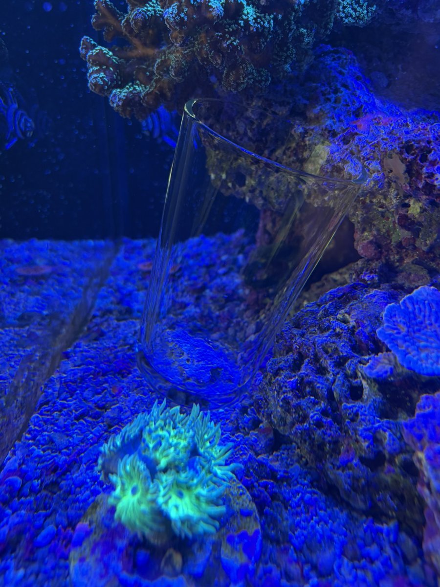 IMG_8314.JPEG