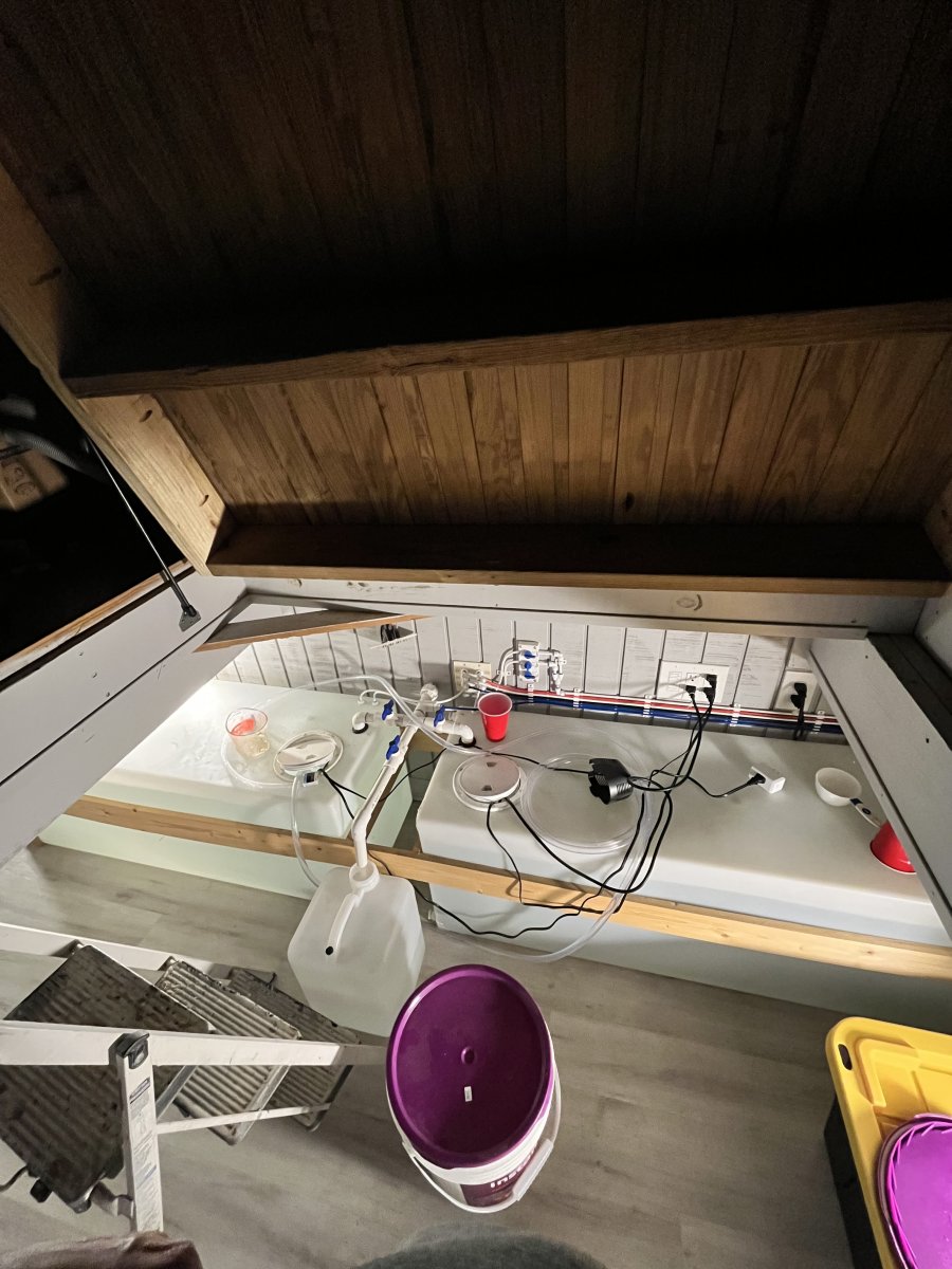 IMG_8358.jpeg