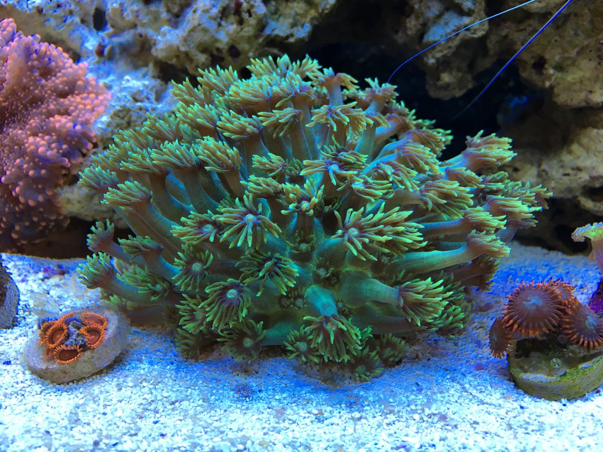 IMG_8358.JPG