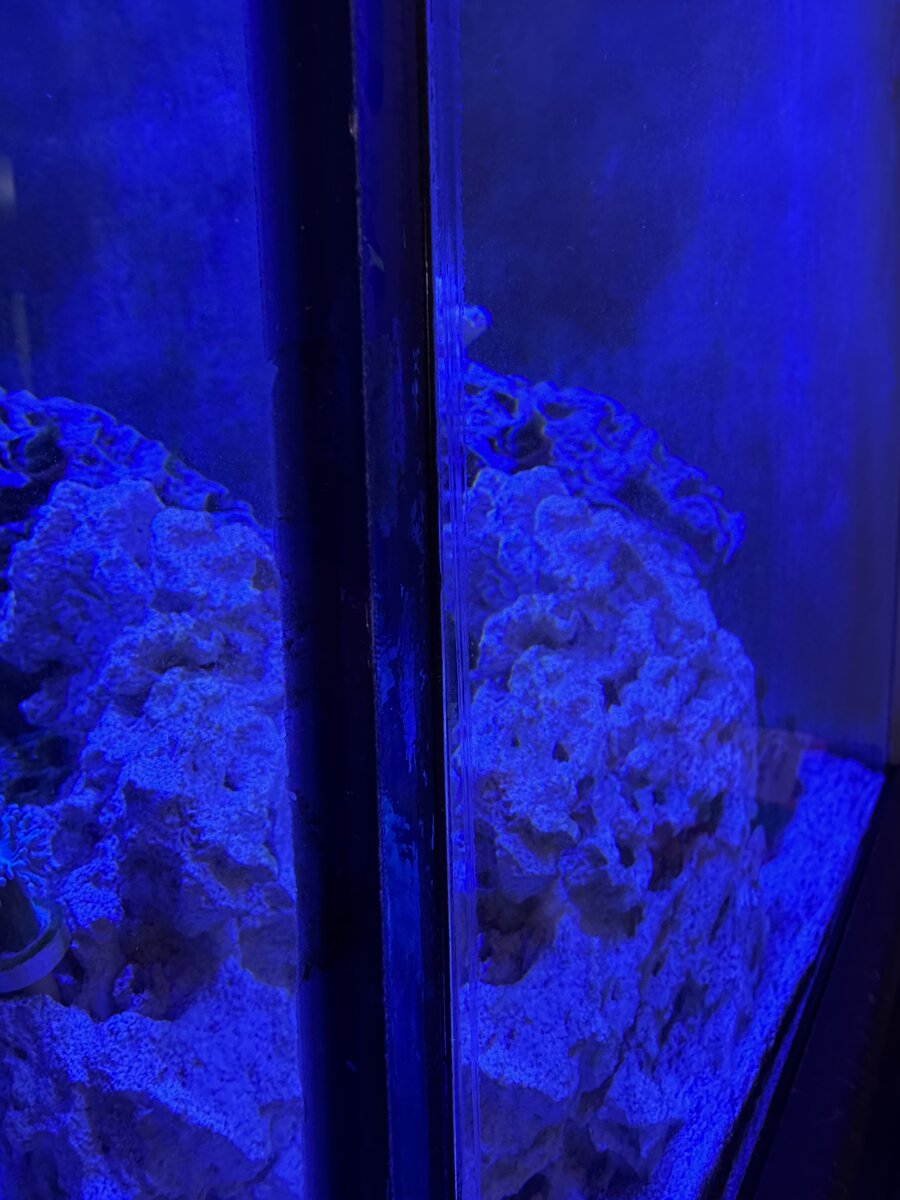 IMG_8361.jpeg