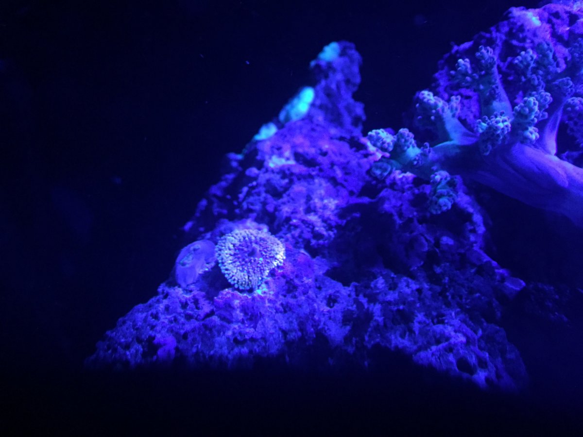 IMG_8369.JPG